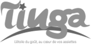 Logo TINGA Ok